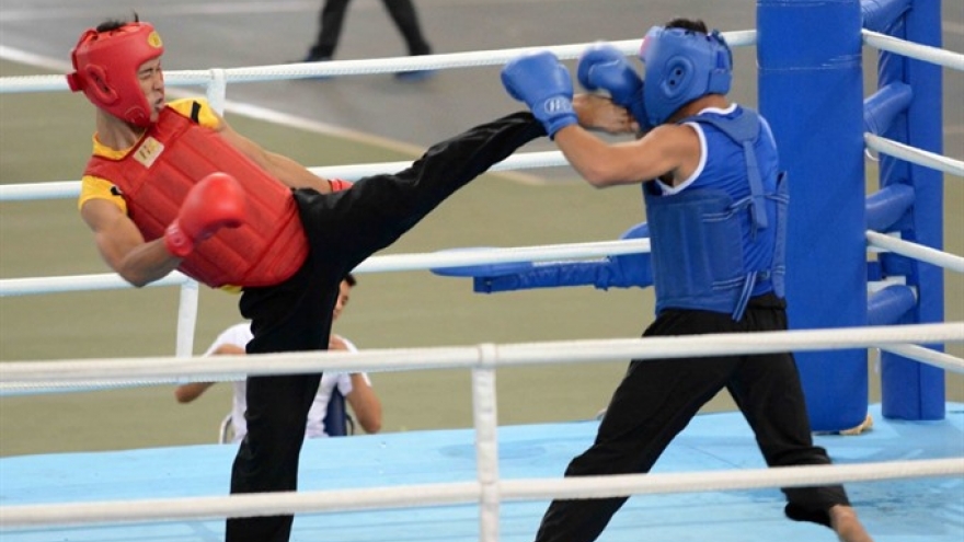 Martial artists to perform in Nghe An
