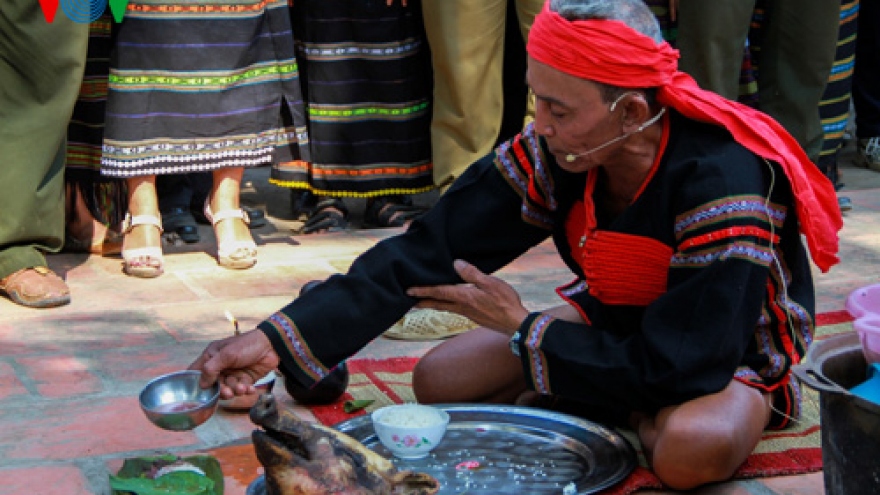 Dak Lak promotes tourism development, cultural preservation