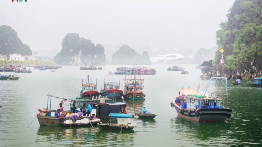 Tranquillity of Ha Long in autumn 