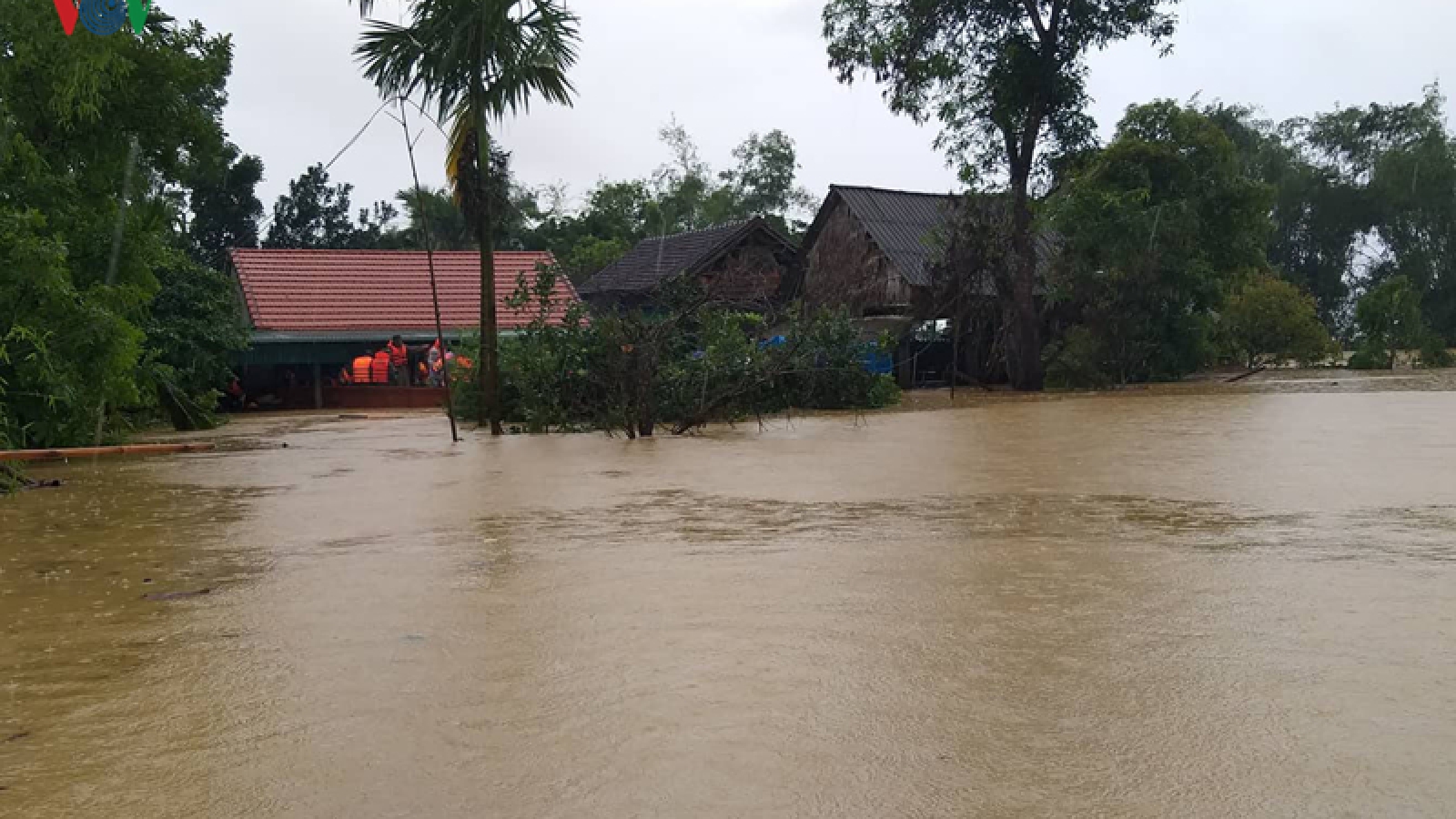Flooding devastates homes throughout Ha Tinh province
