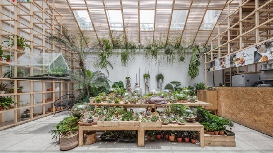 Coffee shop finds inspiration from tropical forest 