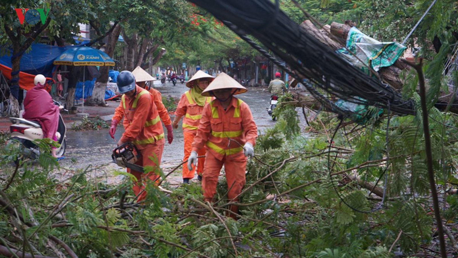 Typhoon Mun uproots trees, cuts off electricity in Hai Phong