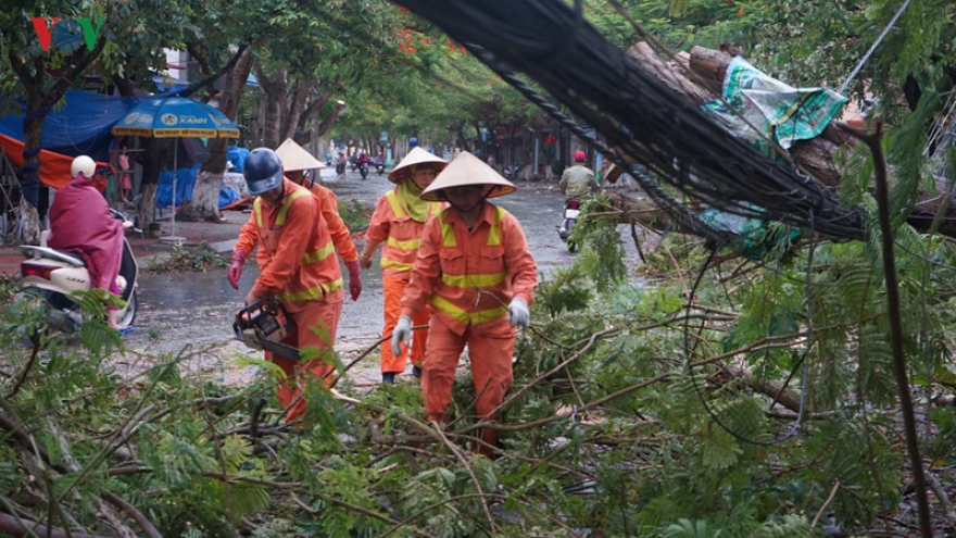 Typhoon Mun uproots trees, cuts off electricity in Hai Phong