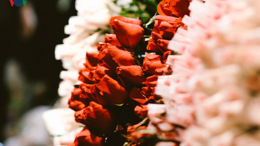 Quang Ba night flower market bustling on Valentine Day