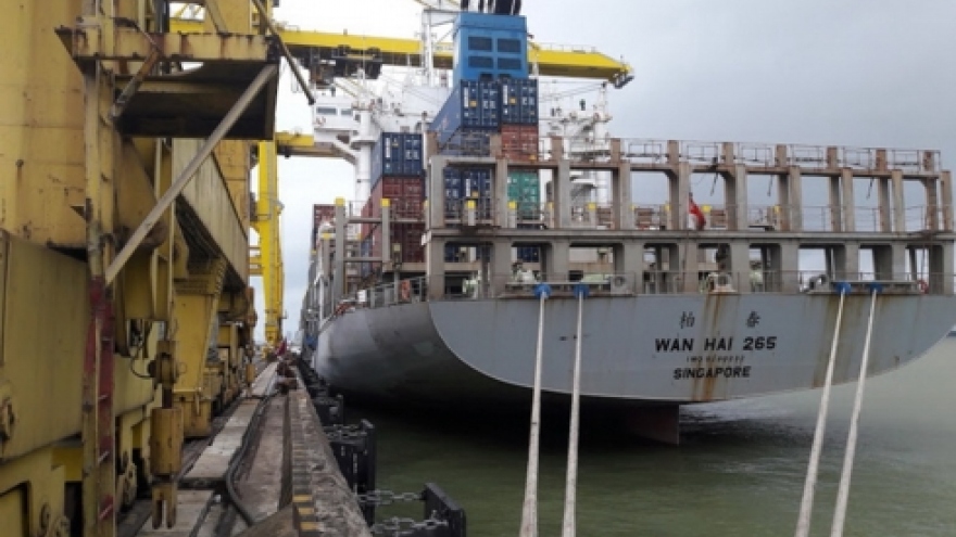 Da Nang port handles first cargo batch of 2019