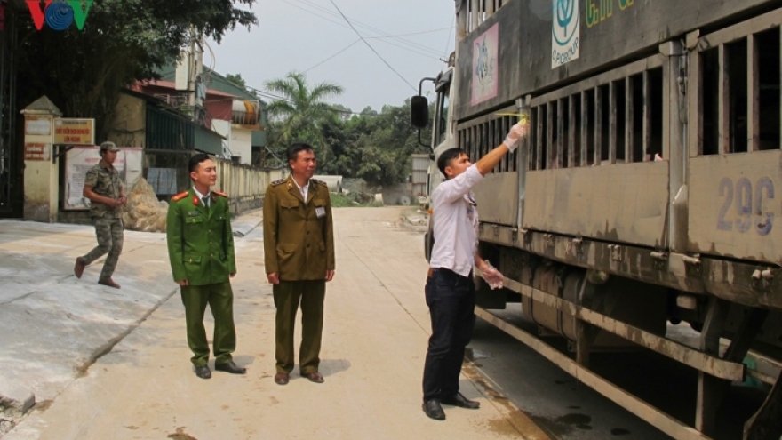 Hanoi tightens quarantine on pigs to protect consumers