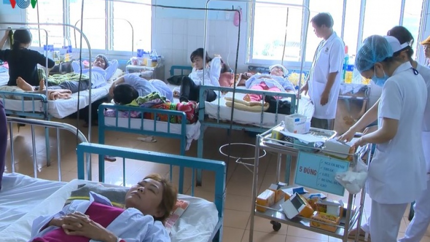 Rising number of dengue fever cases hits Tien Giang