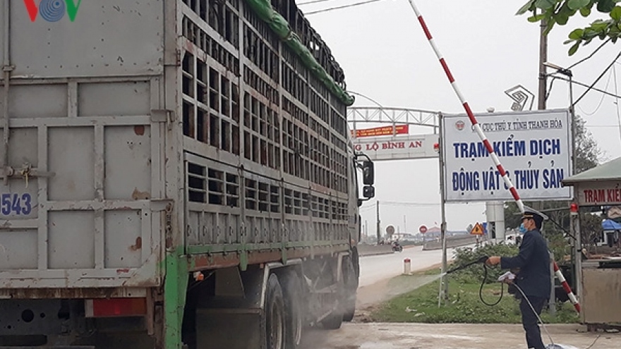Thanh Hoa detects three additional ASF outbreaks