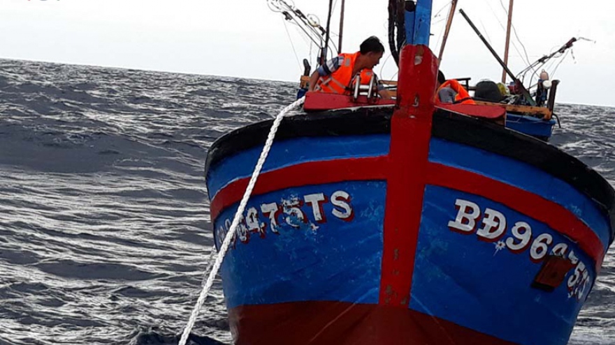 Eight fishermen rescued after their vessel sinks in Binh Dinh
