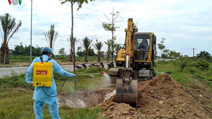 Thua Thien Hue takes drastic measures to combat spread of ASF