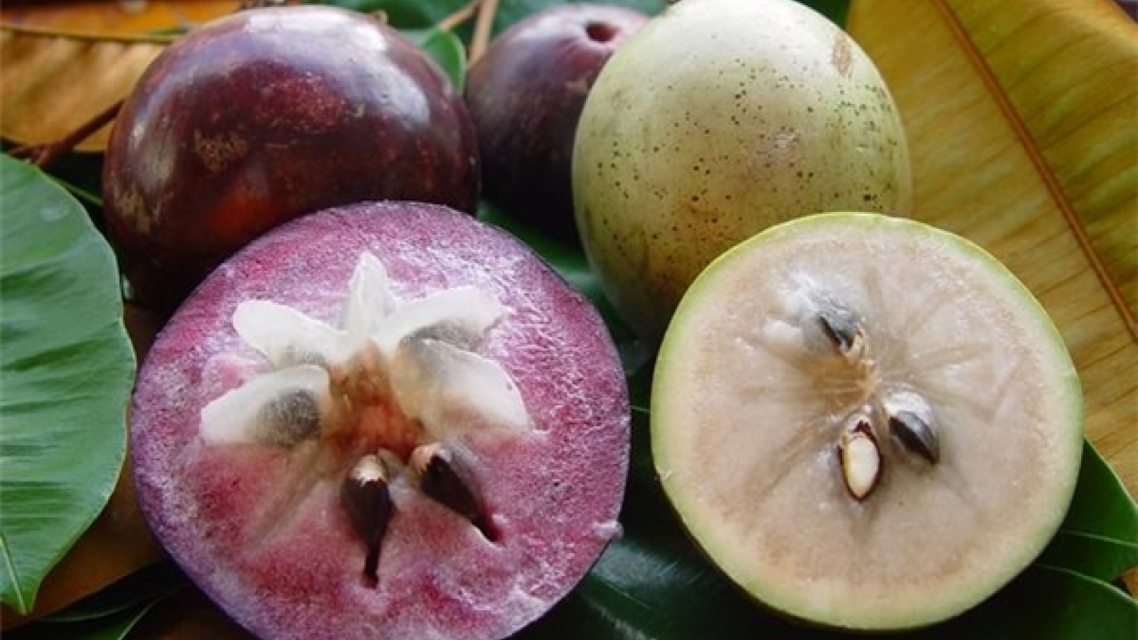 Tien Giang seeks measures to boost star apple exports to US
