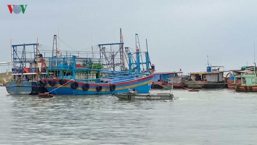 Ba Ria-Vung Tau joins collaborative effort to remove EU’s yellow card