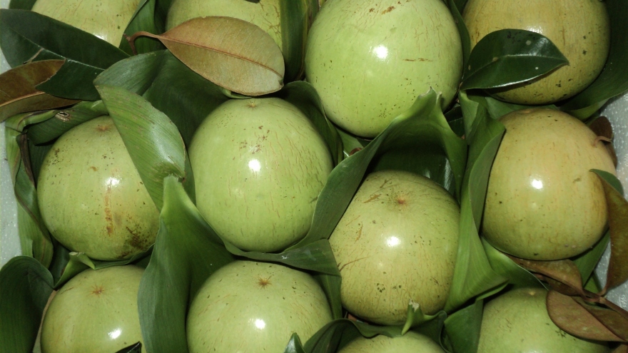 US tentatively green lights star apple imports from Vietnam