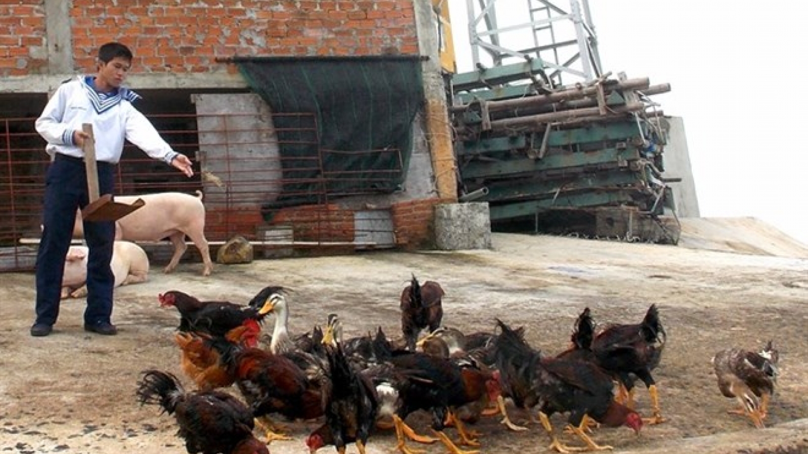 New bio-based waste treatment developed by Vietnamese scientists
