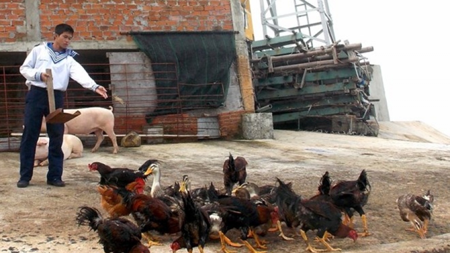 New bio-based waste treatment developed by Vietnamese scientists