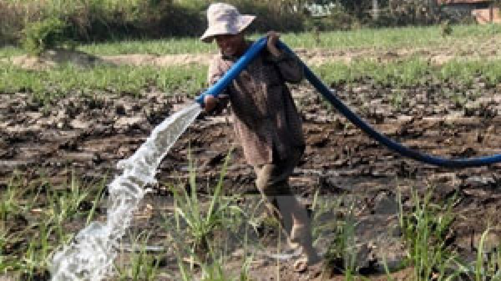 Effective water use necessary for sustainable development