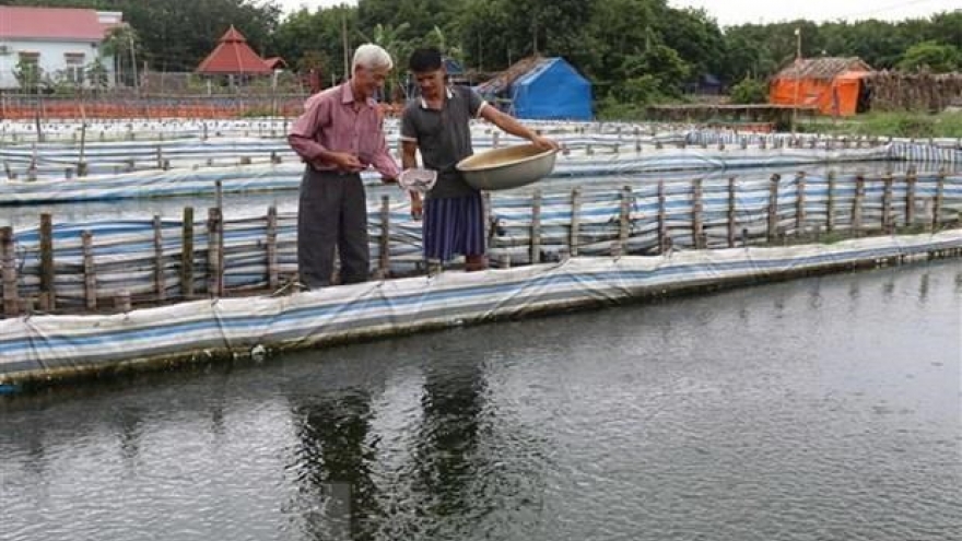 Solutions sought in water stocking in Mekong Delta