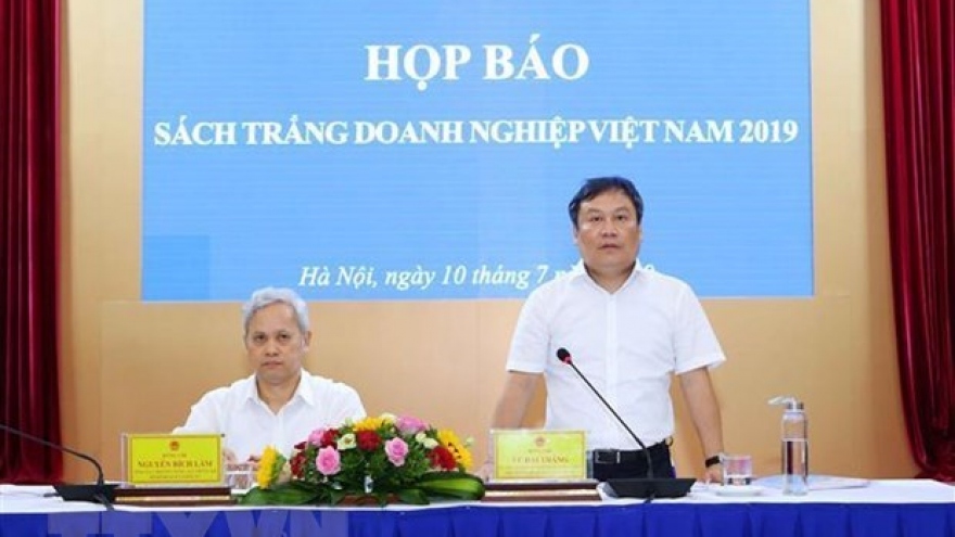 White Book on Vietnamese Businesses 2019 launched