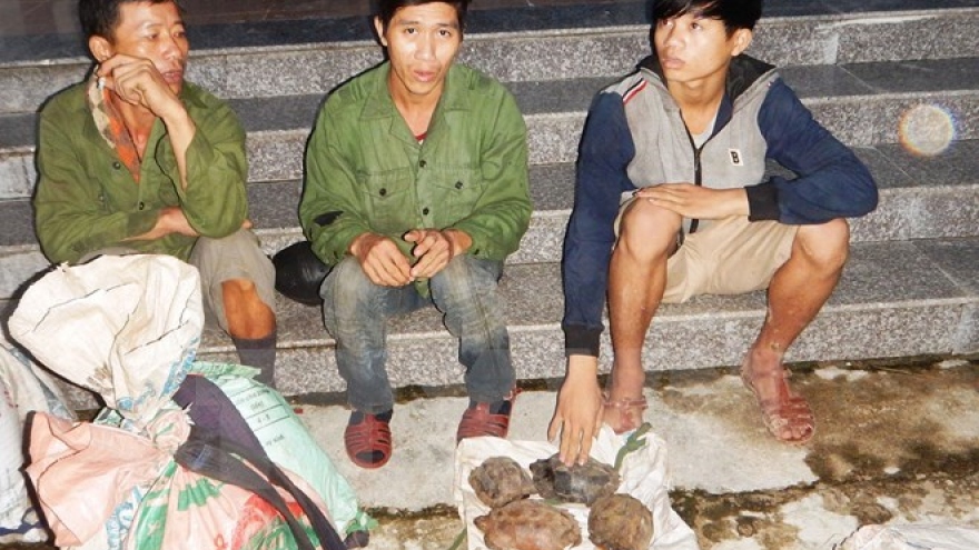 
        US willing to help Vietnam combat wildlife trafficking
                              