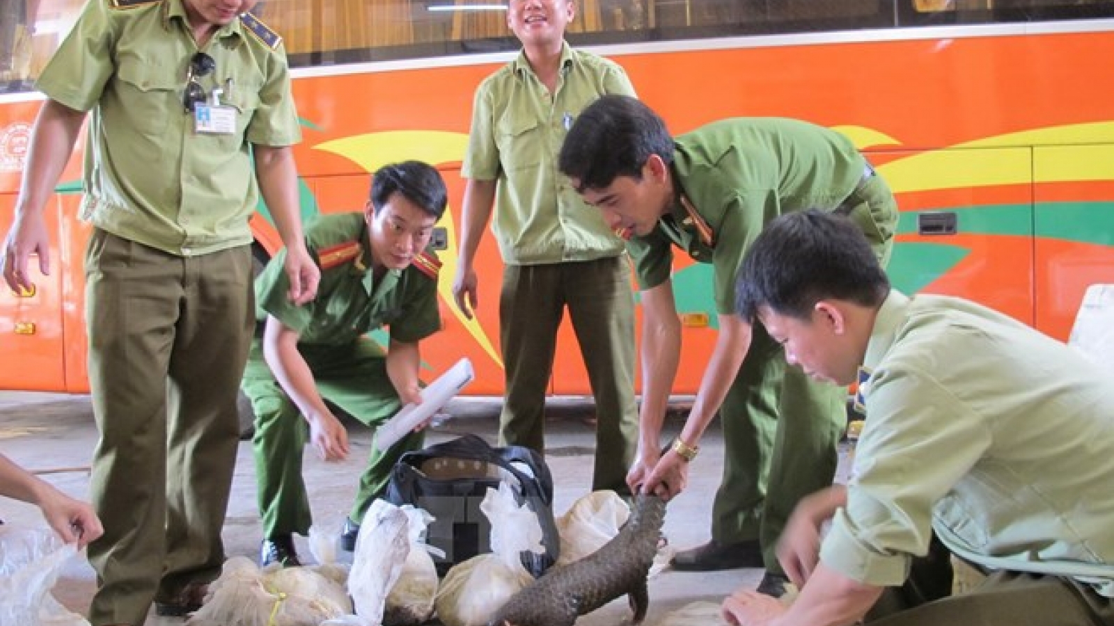 Wild animals rescued from illegal trade