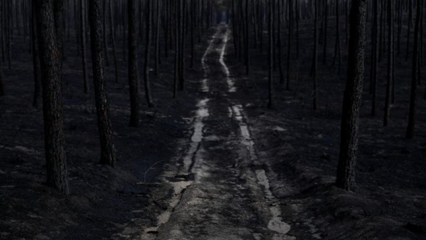 Condolences sent to Portugal over wildfires