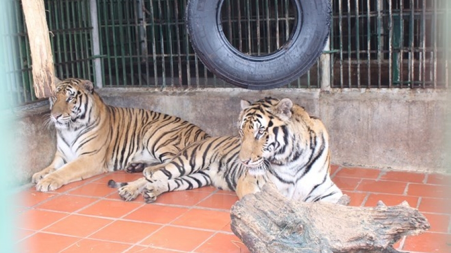
        Transport firms urged to fight wildlife trade
                              