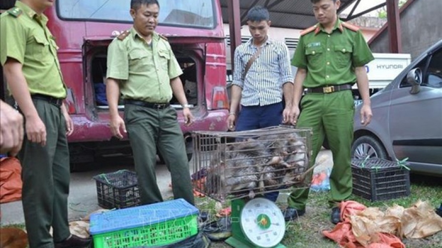 Dien Bien police seize large amount of trafficked wildlife animals