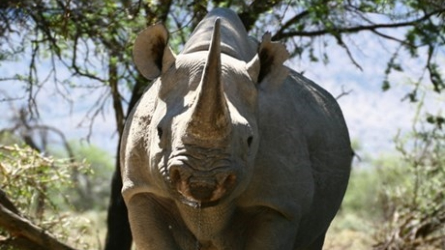 Youths encouraged joining wildlife protection activities