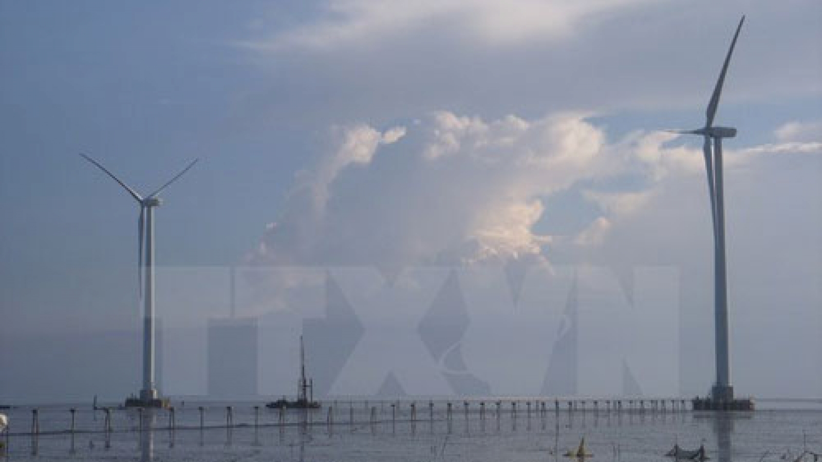 US$3.2 bln wind power plant to be built in Ca Mau