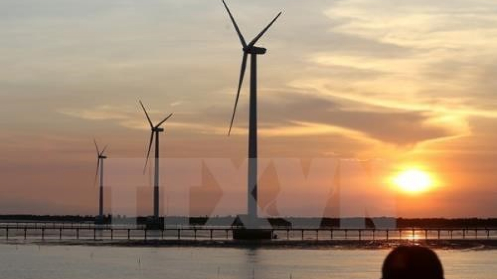 Foreign investors interested in Vietnam’s wind power projects