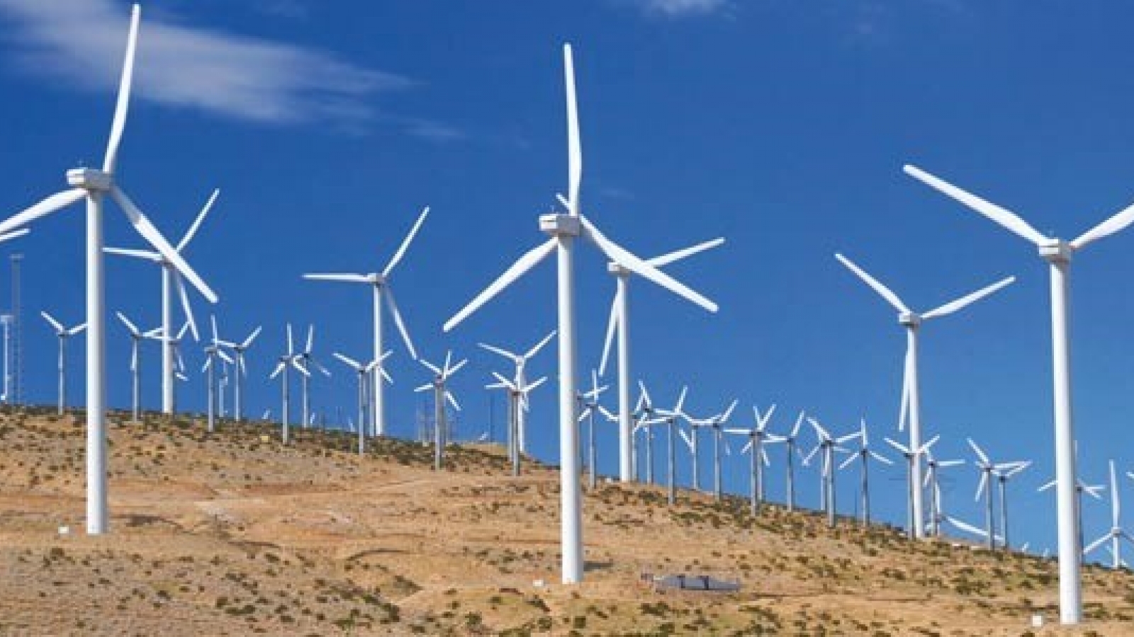 Australia initiates investigation into dumping of VN’s wind towers
