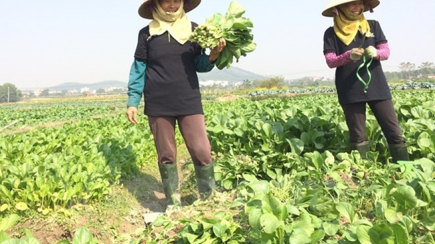 German-funded project improves living conditions for Binh Thuan women