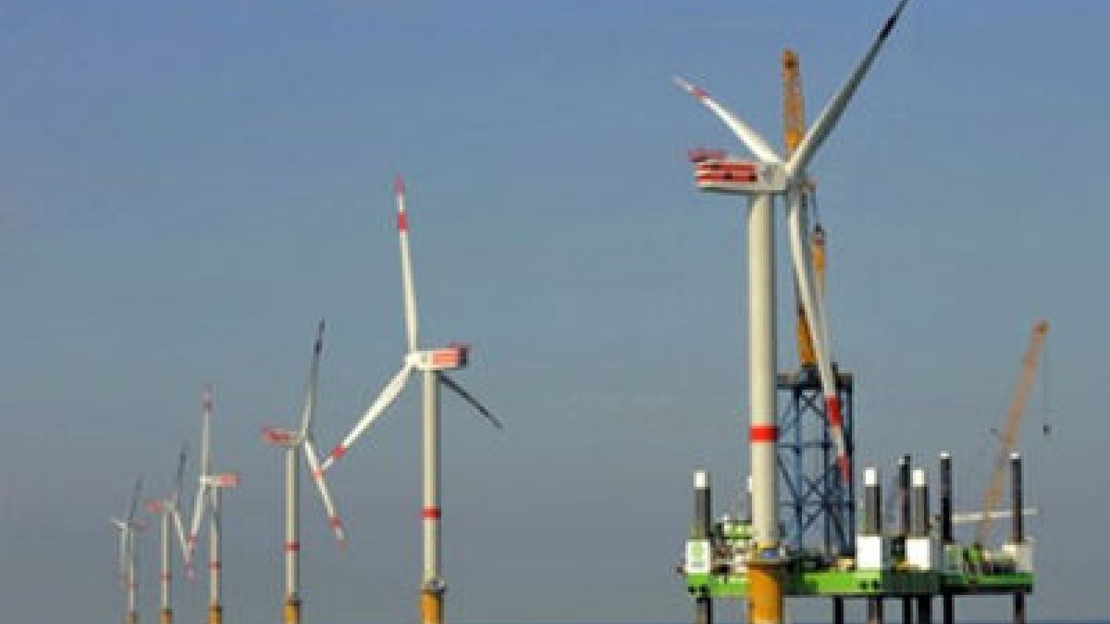 Terra Wod eyes US$400 million renewable energy projects in Quang Ngai