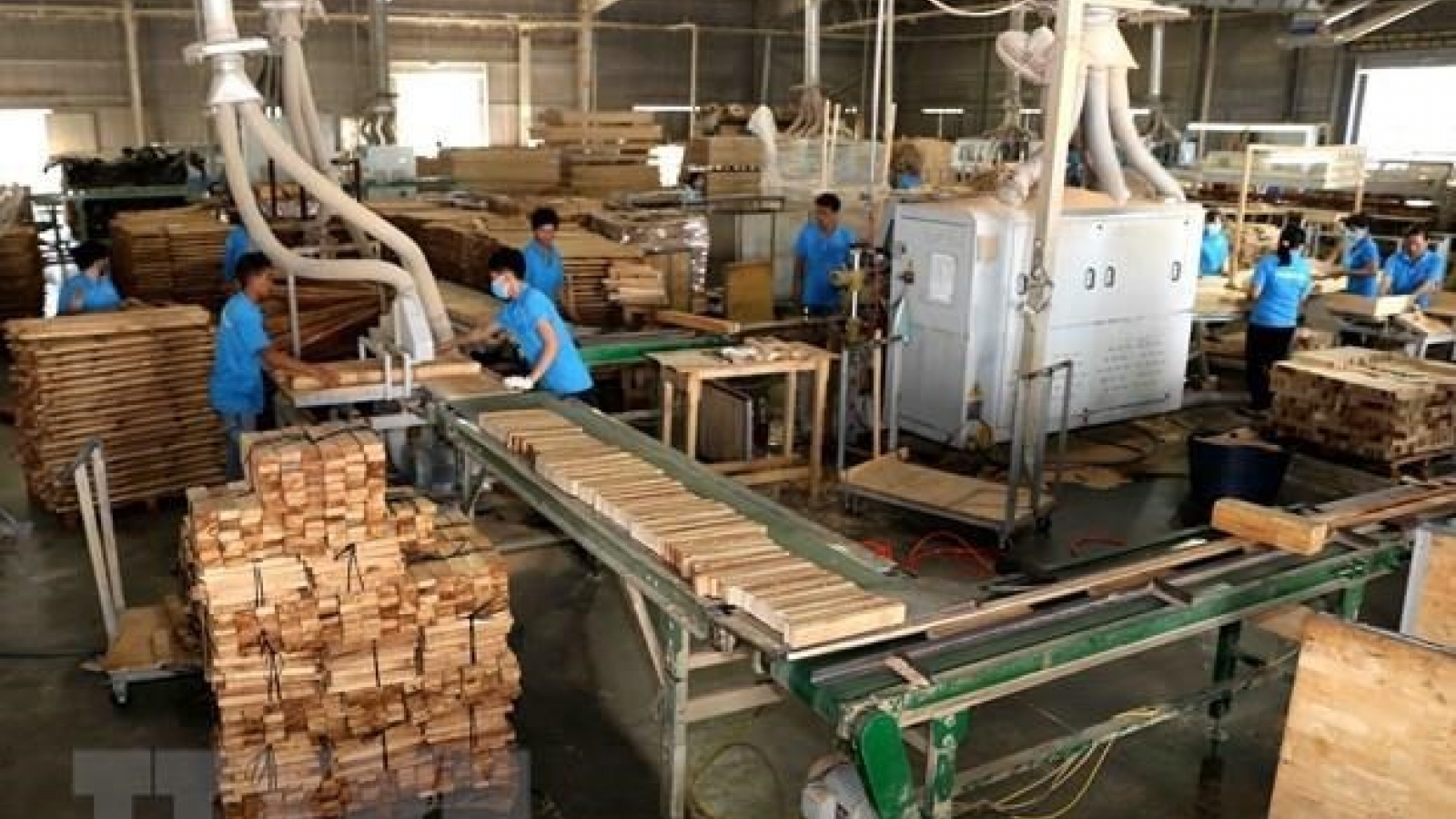 Promoting socially responsible practices in wood, seafood processing