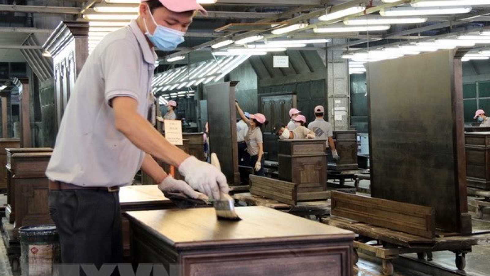 Trade fraud risks in wood industry warned