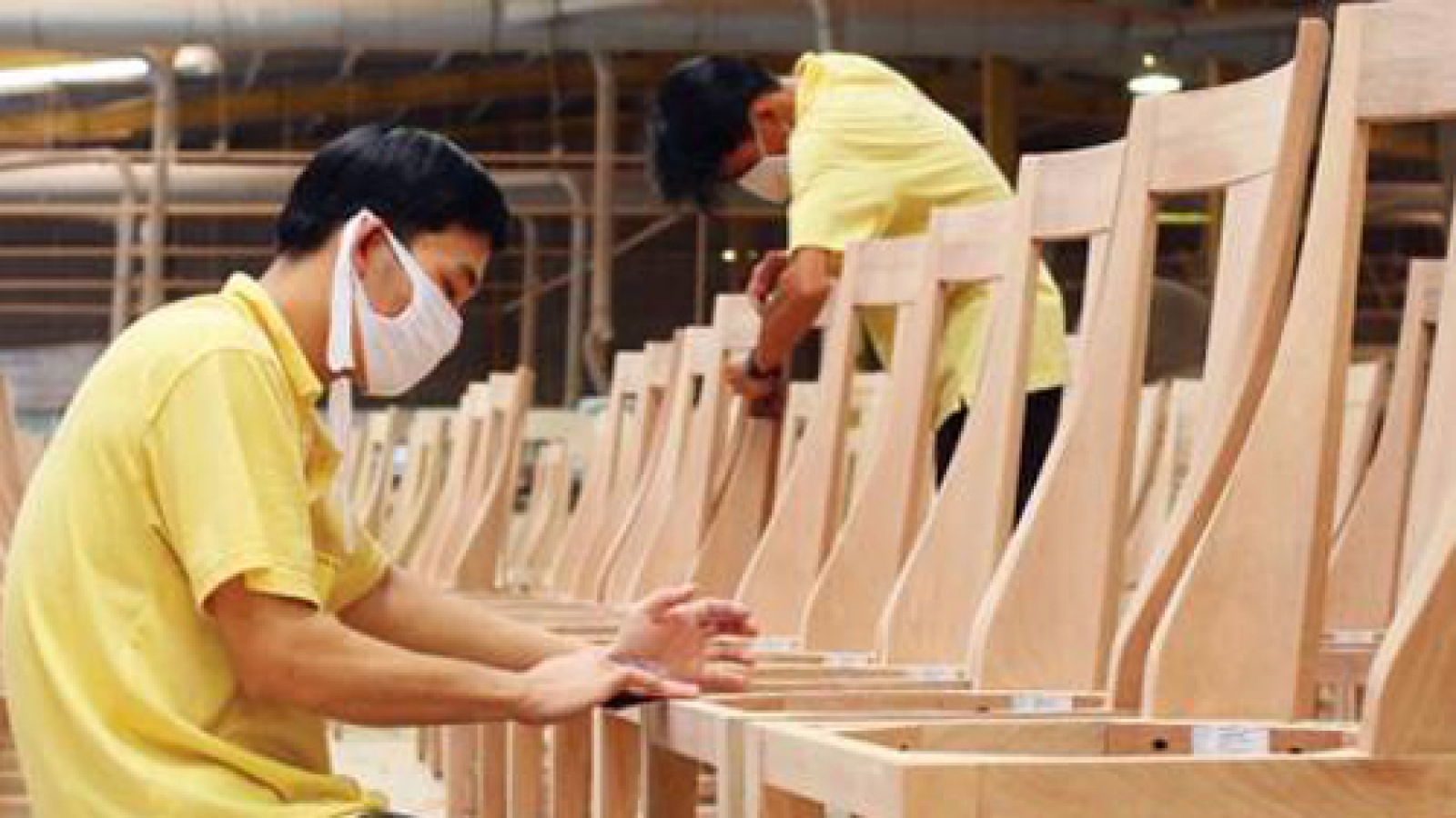 Wood and timber exports climb to new heights