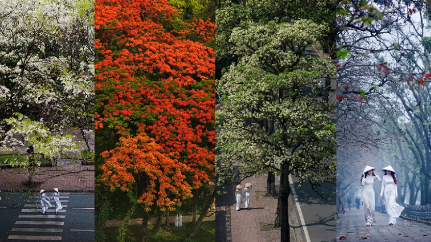 
        Photo exhibition features little corners in Hanoi
                          
                      