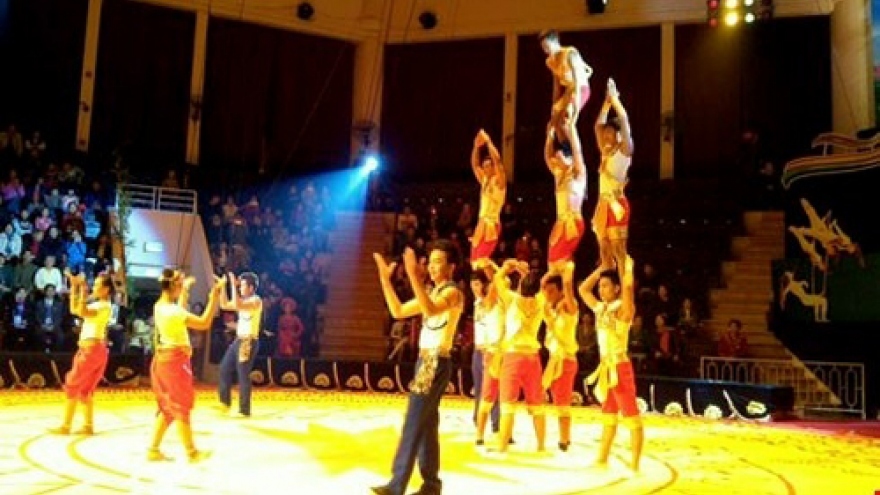 Phuong Nam to hold two-month Japan circus program