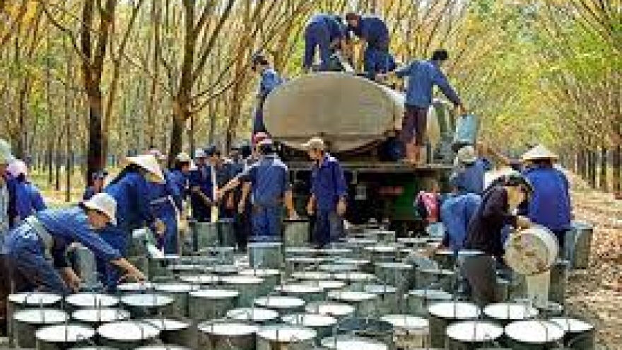 Rubber industry expects export recovery this year