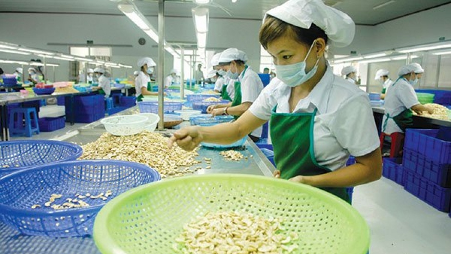 Vietnam retains its position as world’s leading cashew exporter