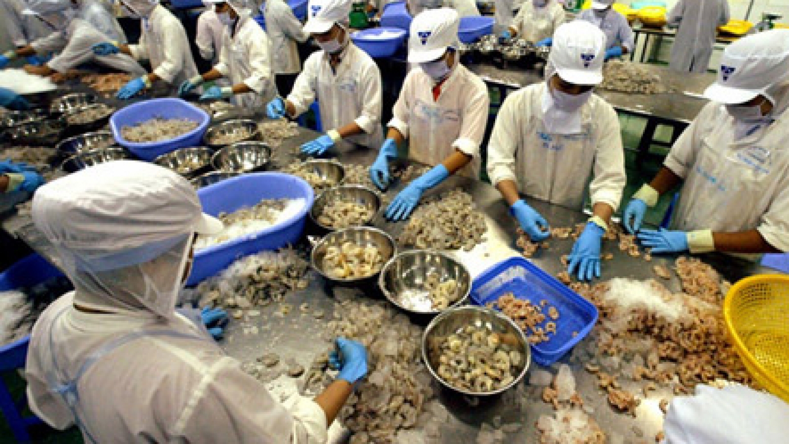 Vietnamese shrimps penetrate Korean market 