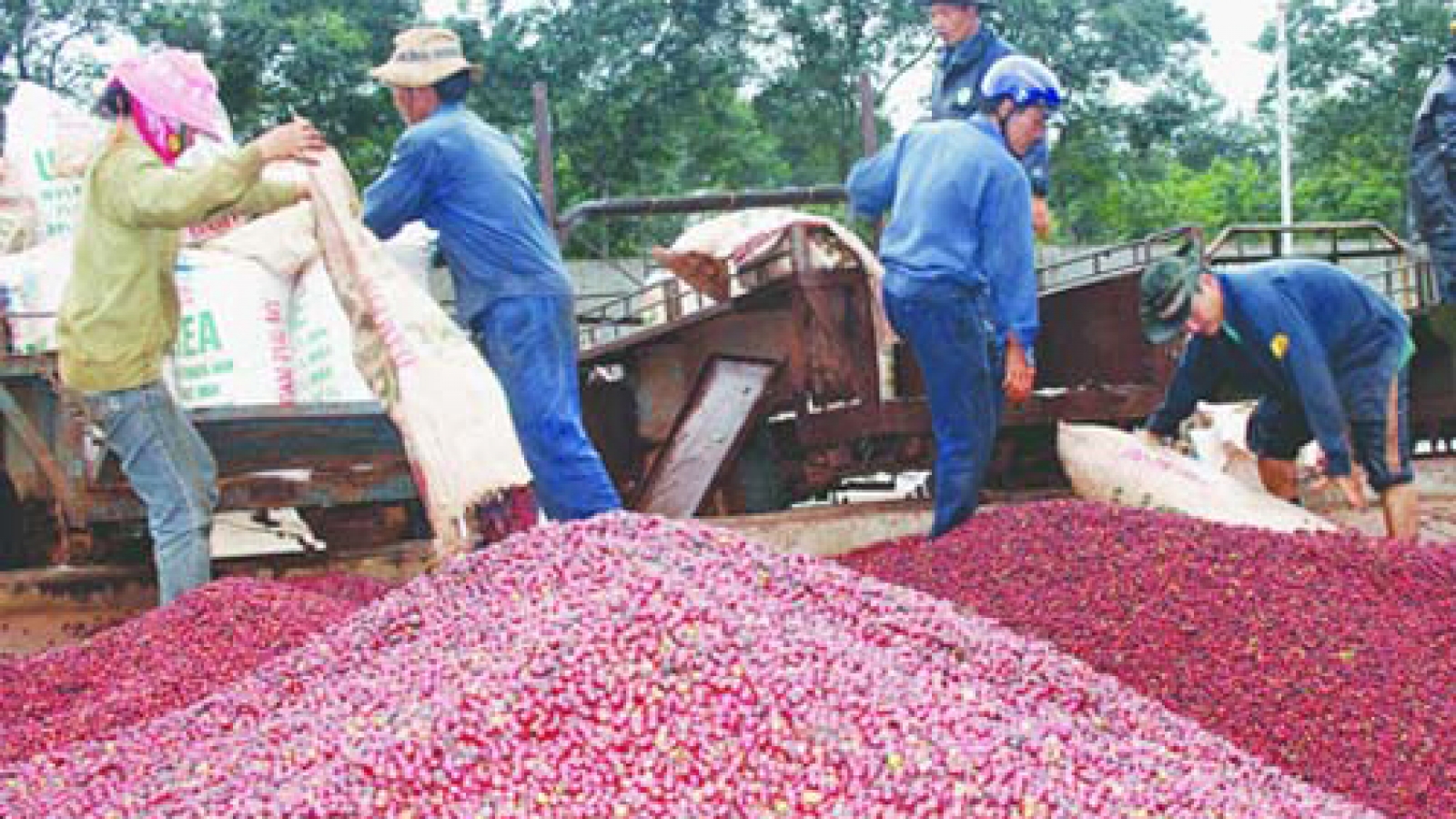 Forbes Vietnam: Vinamilk a top 50 company 