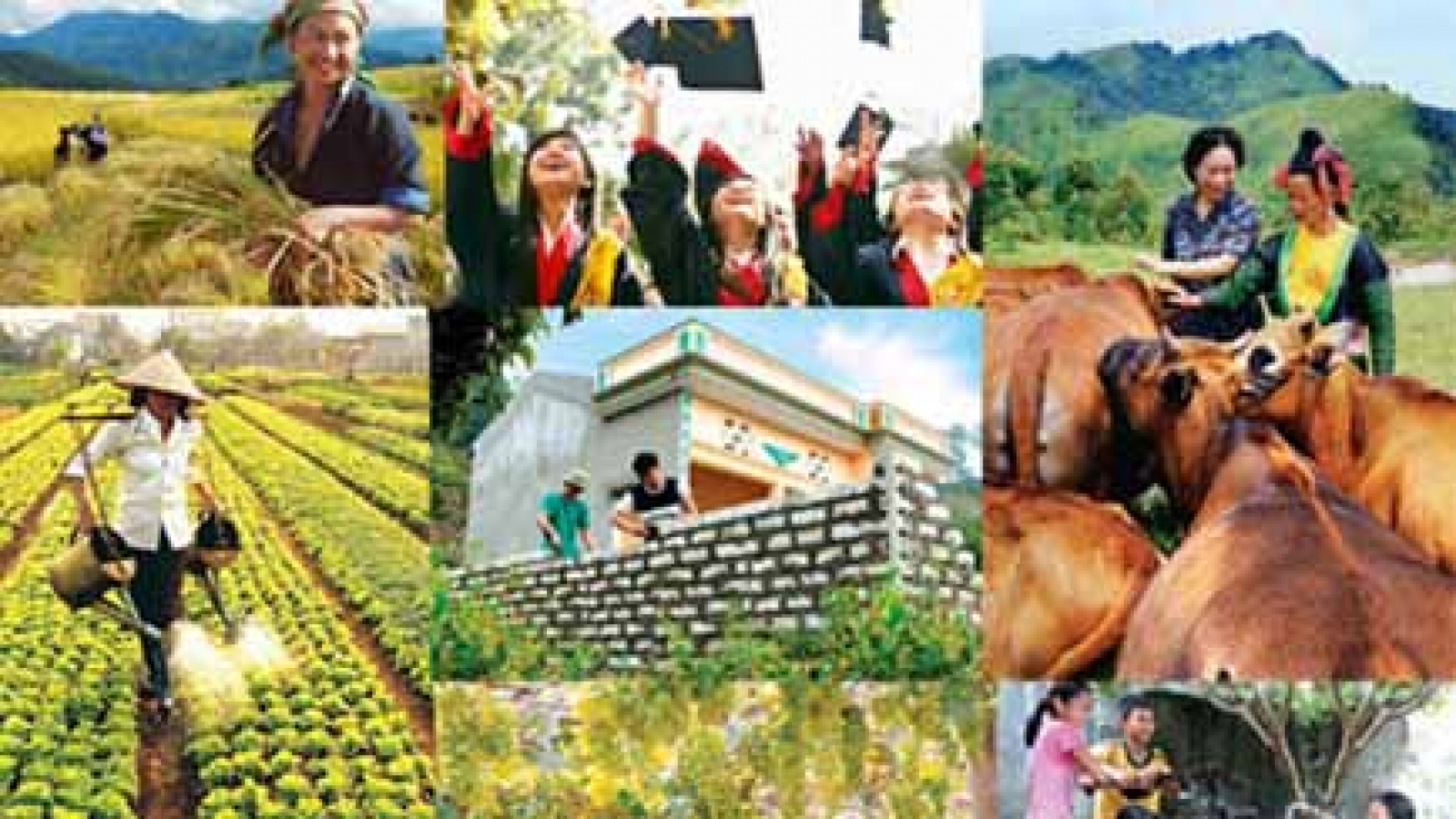 Changes in poverty reduction policy