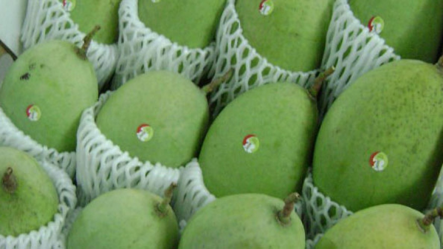 Mango exports to Japan surge high