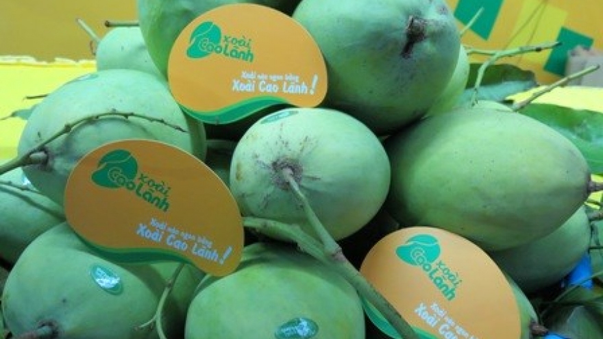 Dong Thap promotes fruit exports
