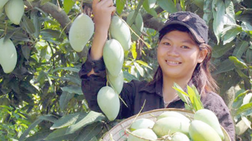 Cultivating sustainable agriculture in Vietnam