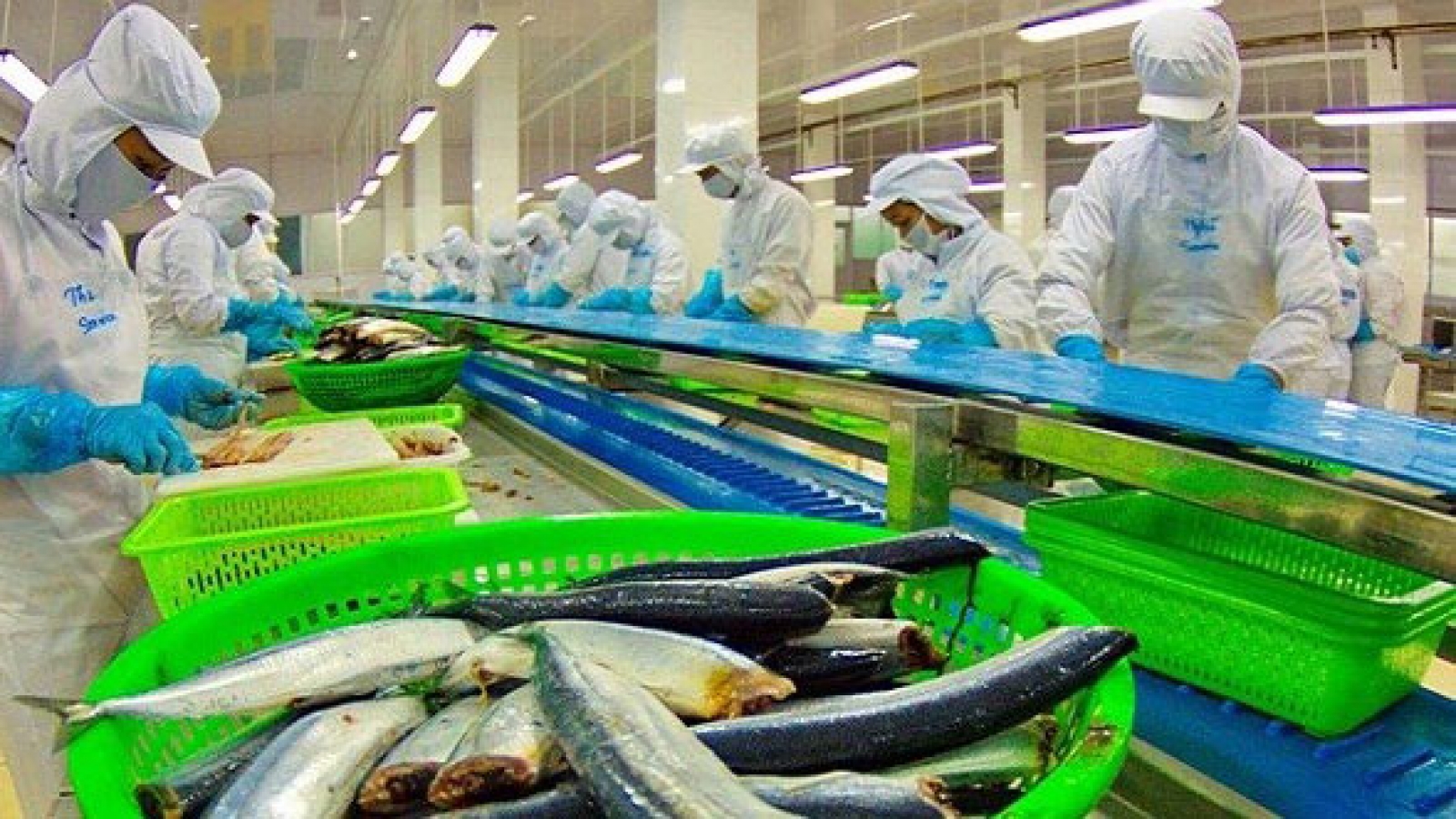 Export surge lifts Vietnam’s trade surplus with EU
