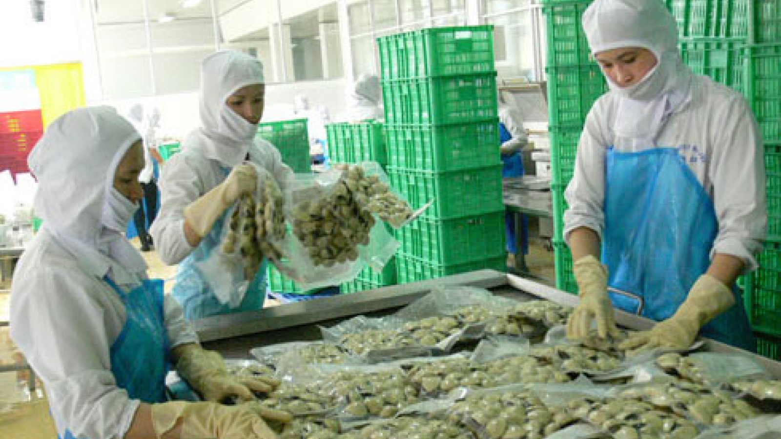 Vietnamese exports to France explode