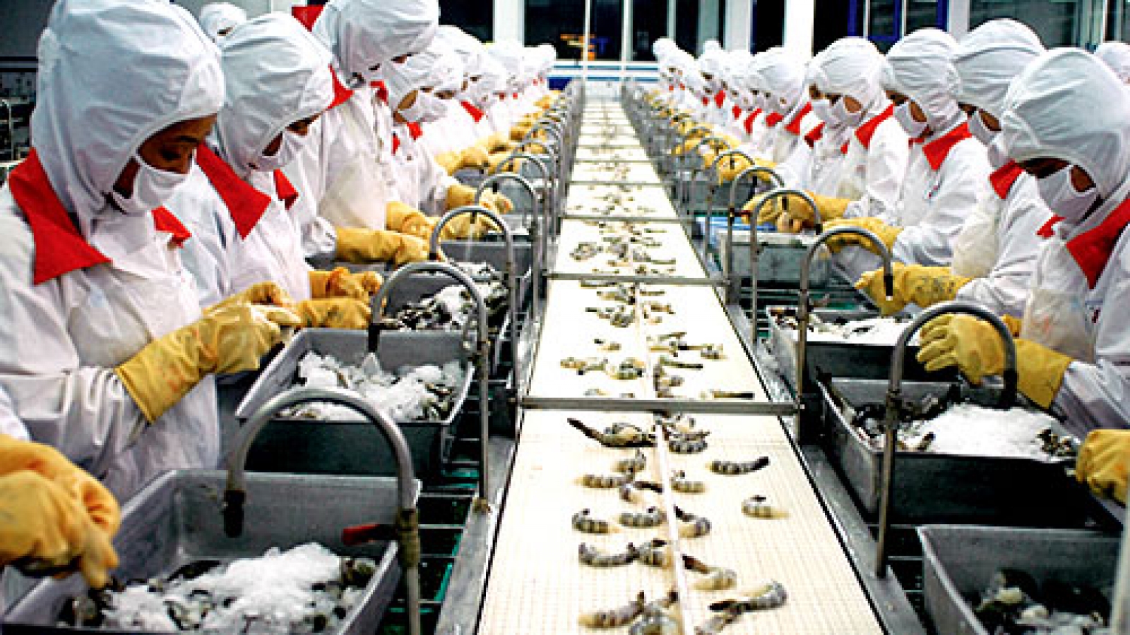 Seafood exports down in 2015