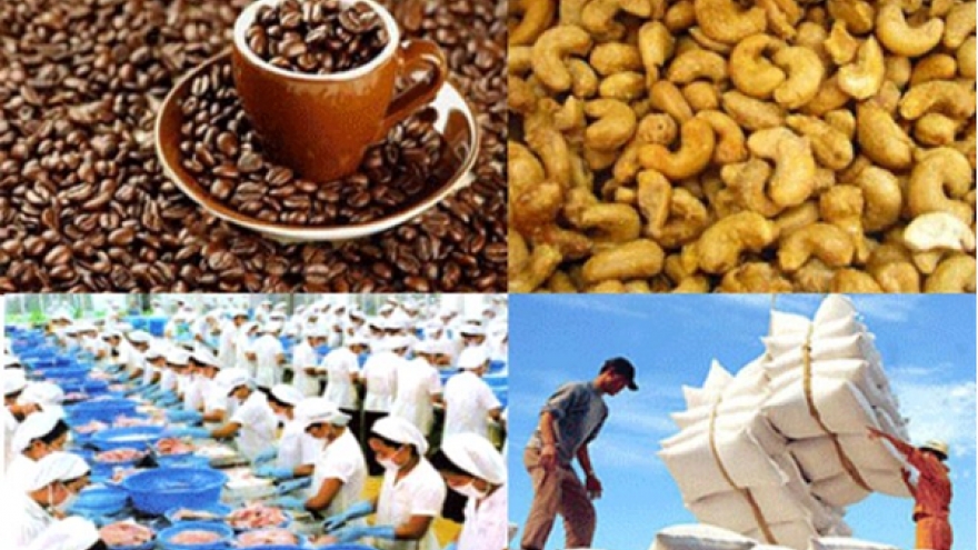 Vietnam’s exports make May rebound
